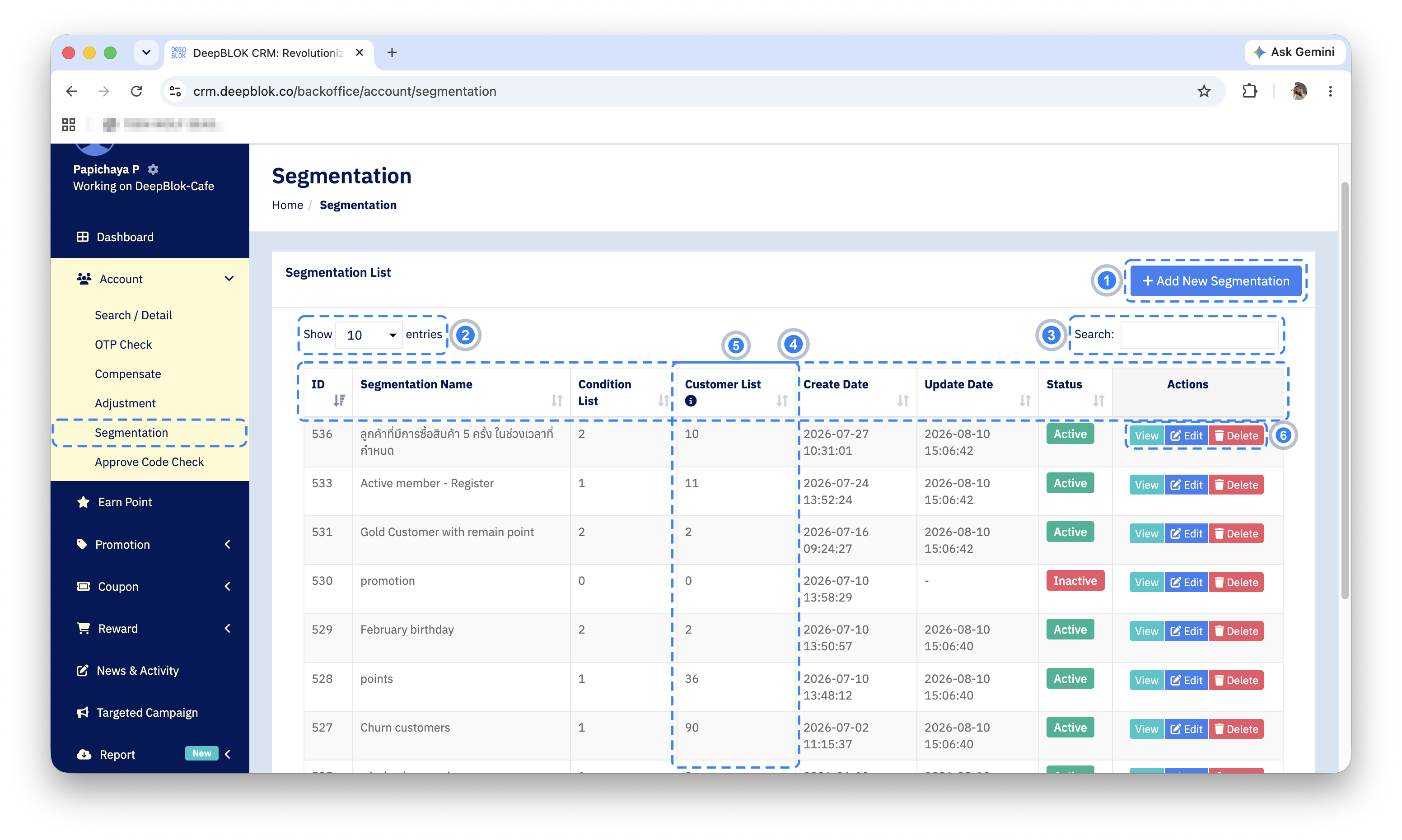 The Segmentation List table with the Add New Segmentation button and the Customer List column